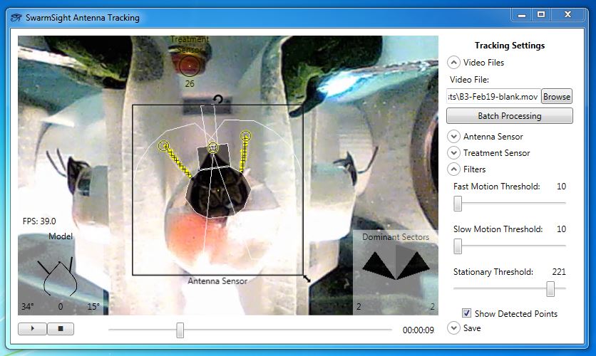 SwarmSight Antenna and Proboscis Tracking Screenshot